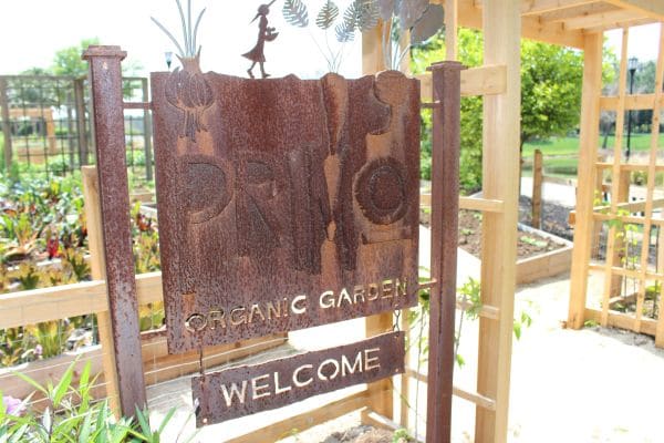Primo Restaurant Organic Garden JW Marriott Grande Lakes Orlando