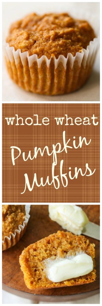 Whole Wheat Pumpkin Muffins Recipe