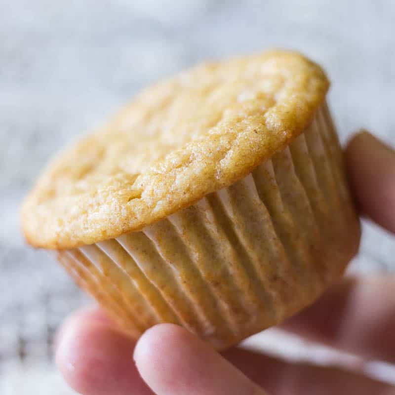 These apple mandarin yogurt muffins are made with apple mandarin juice for flavor, Greek yogurt for protein, and some whole wheat flour for extra nutrition. The perfect breakfast or snack!