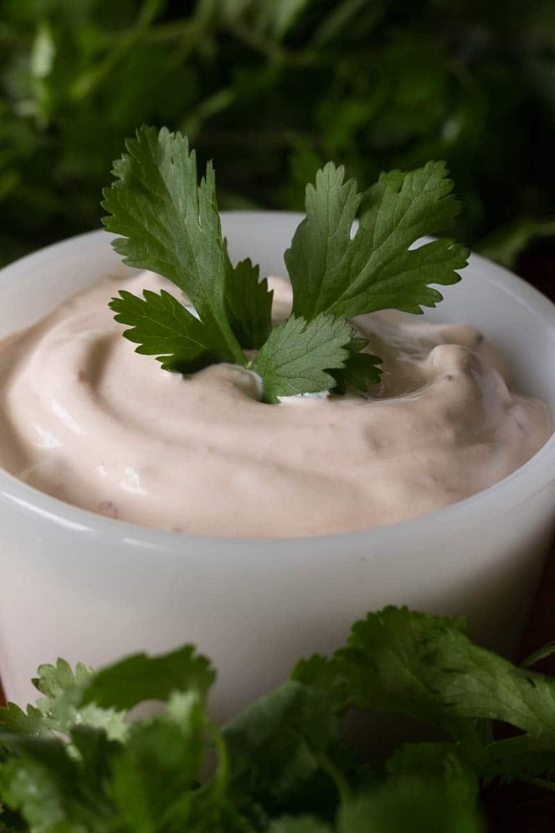 This chipotle sour cream dip has only 2 ingredients! Simply chop, combine, and stir to make one of the best dips I've ever tasted in my entire life.