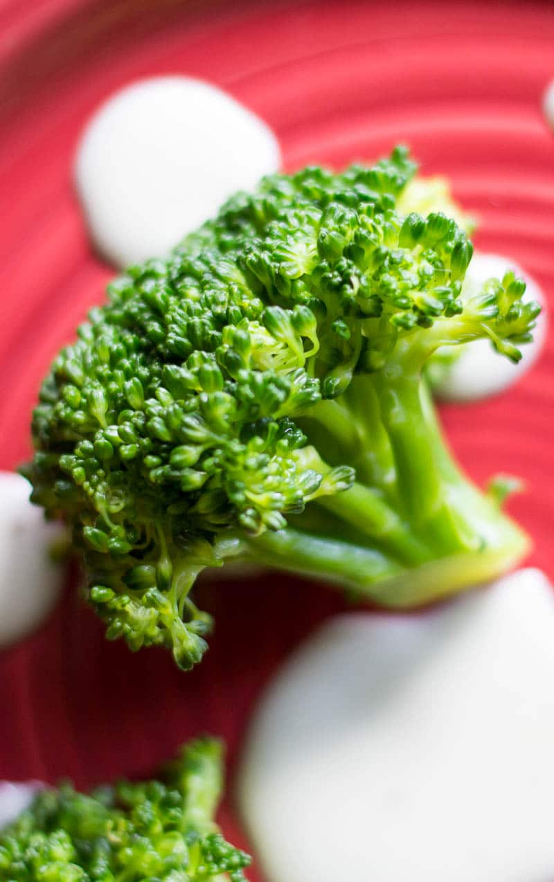 Cooked broccoli floret on a red plate with ranch dressing
