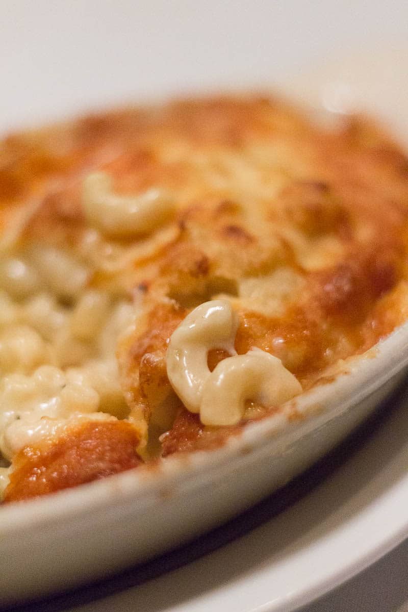 Christner's Orlando offers prime steak, lobster, and more (like this lobster mac and cheese) in an old school steakhouse setting. Perfect for special occasions!