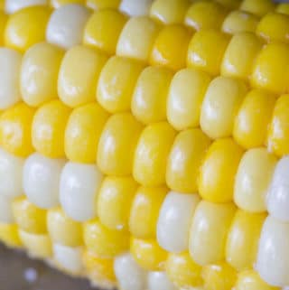 Closeup of boiled corn on the cob kernels on a metal tray with salt