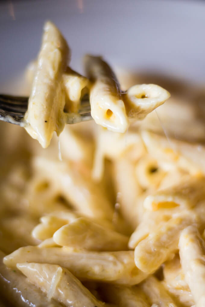 Penne macaroni and cheese