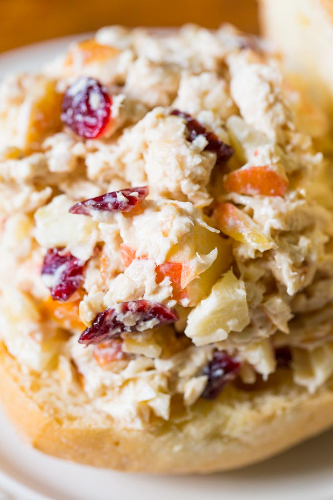 Close up of Chicken Salad with Apples Cranberries Pecans