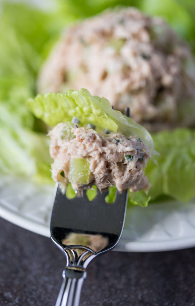 Forkful of tuna salad and romaine