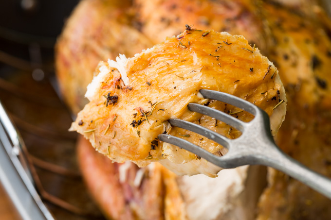 Slice of roast turkey with skin